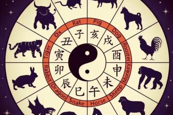 八字亥子