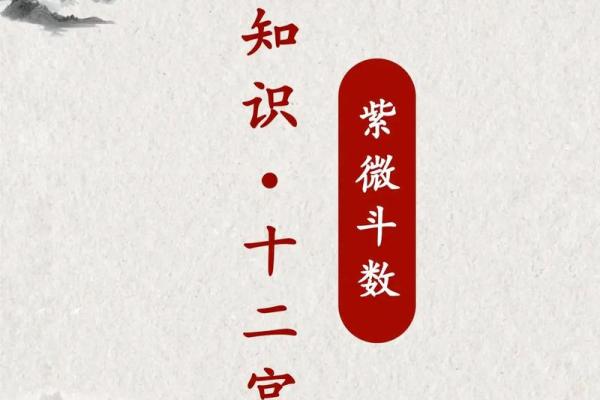 紫薇斗数神巴巴