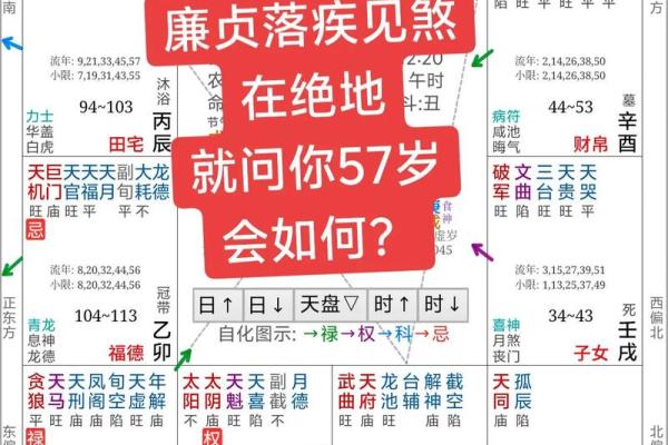 紫薇斗数神巴巴