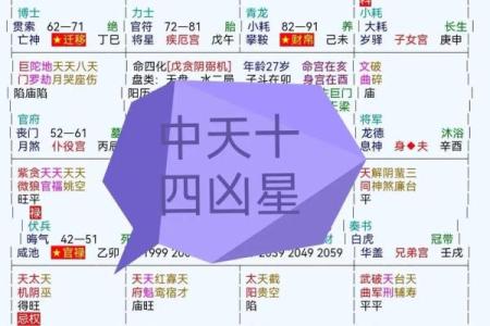 紫薇斗数对星