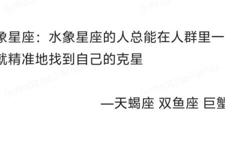 水象星座适合什么人