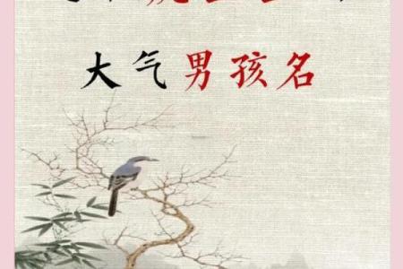 下午3点出生的属虎男孩如何起名，用什么字姓名
