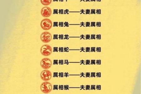 属龙姻缘配对