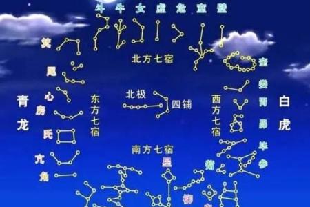 紫薇斗数  -_是什么意思