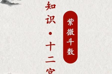 紫薇斗数神巴巴