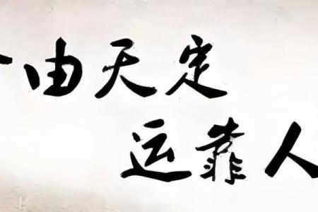 作家八字
