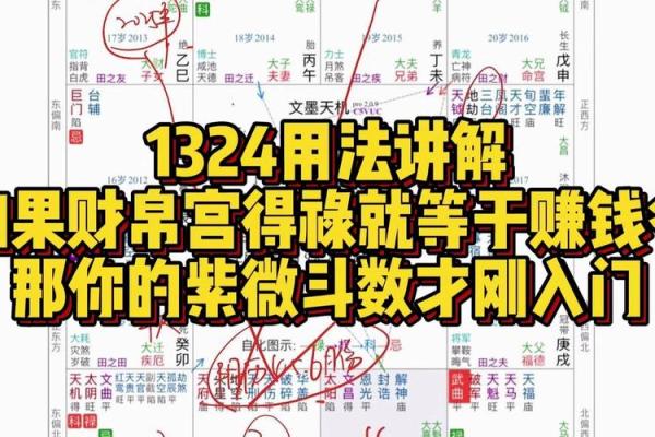 紫薇斗数禄出