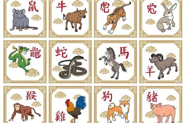 生肖配对表 兔和猪适合在一起吗