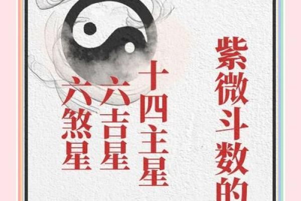 紫薇斗数吉星煞星