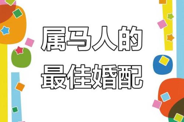 婚姻属相配对查询属马 哪些属相与属马最相配