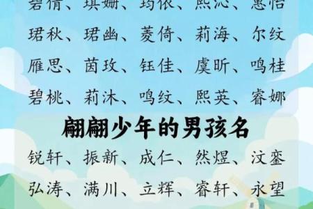 宝宝生辰八字取名打分