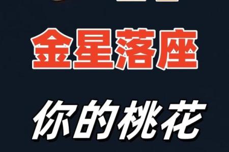 金星落入哪个星座嫁的好