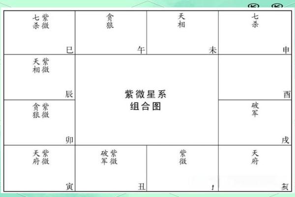 紫薇斗数文曲在命宫