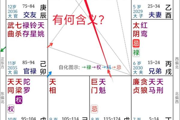 天府星紫薇星入父母宫