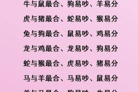生肖属兔和属狗的合不合 相合配对指数