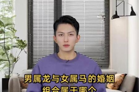 属龙男和属马女姻缘怎么样 属龙男和属马女配对好不好