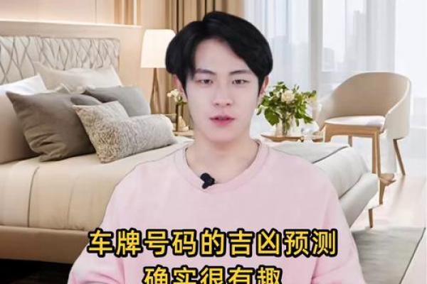 车牌号码免费吉凶测试