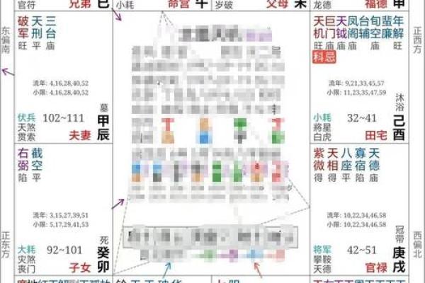 长寿的紫薇斗数