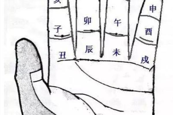 免费拍照看手相算命
