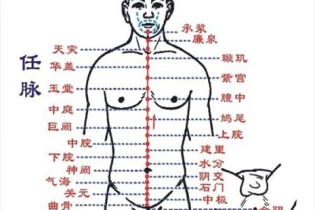 风水点穴_青蛙捕食穴应点在什么地方