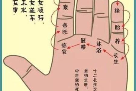 免费拍照看手相算命
