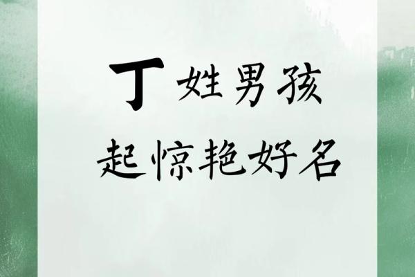 姓丁的名人-姓名学-华易算命网姓名
