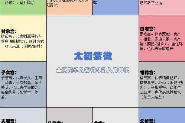 紫薇斗数如何学