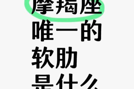 摩羯能拿捏所有星座吗
