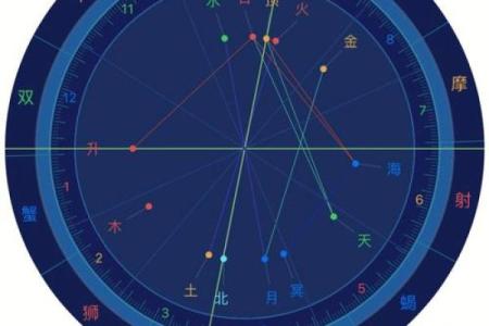 占星紫薇斗数