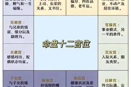 紫薇斗数如何学