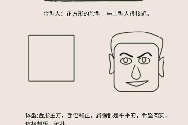 金口诀排盘怎么看