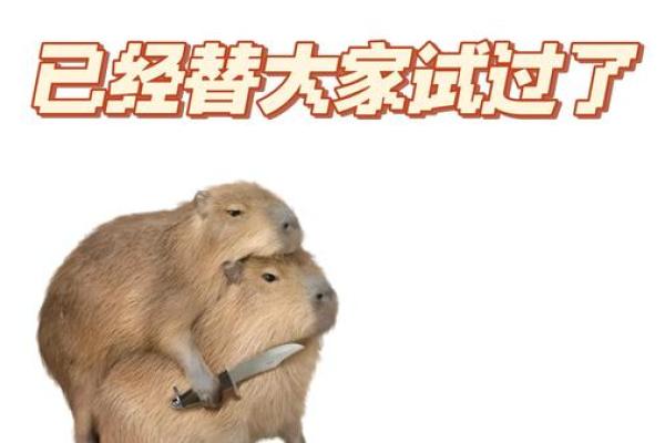 算命也不能想当然