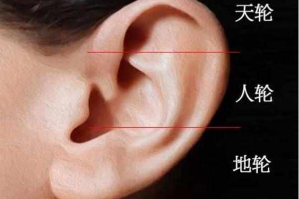 风水面相耳朵垂大的人代表有福气吗