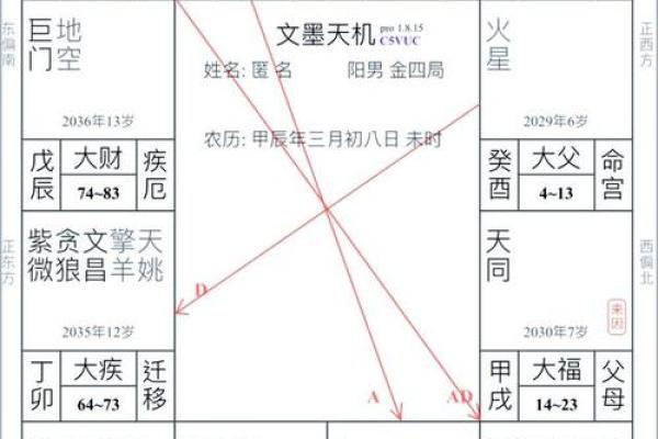 紫薇斗数排盘步骤