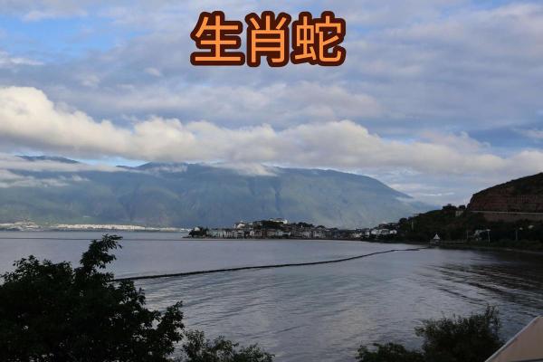 十二生肖属蛇的配对