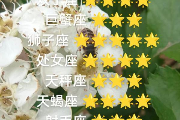 白羊座和什么星座今日运势