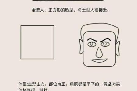 金口诀排盘怎么看