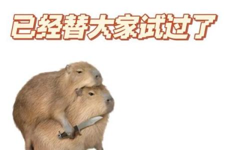 算命也不能想当然