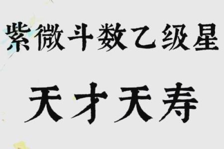 紫微斗数诸星落命宫之：天寿、天才星详解