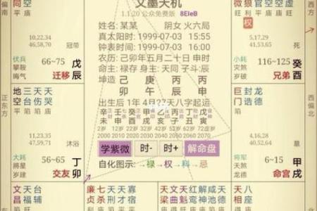 紫微斗数，解析紫薇南斗星