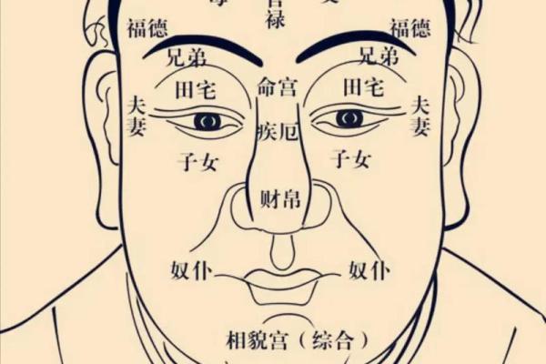 戊戌年紫薇斗数