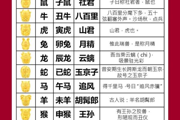属猪男和什么属相配吗，属猪男和什么属相配对？