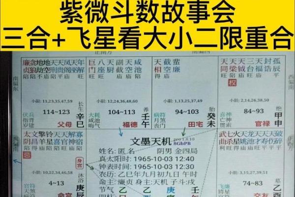 紫薇斗数三合位
