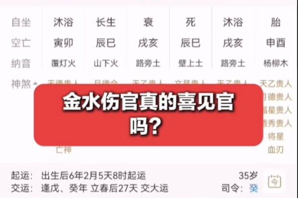 金水伤官八字