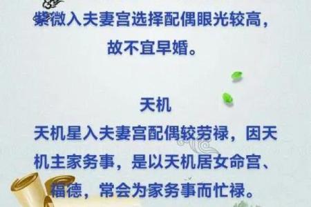 紫薇落在夫妻宫