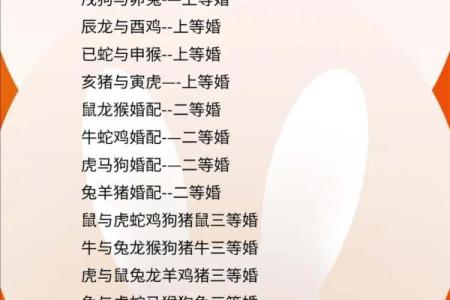 95男猪96女鼠相配吗 配对指数有多高