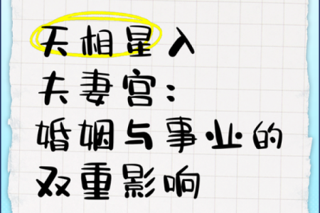 紫微斗数之夫妻宫与诸星，天相星在夫妻宫是什么意思？