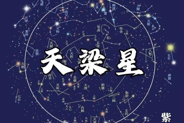 紫薇斗数视频合集