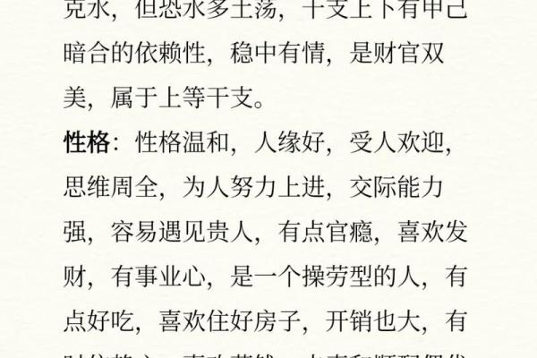 乙亥日八字