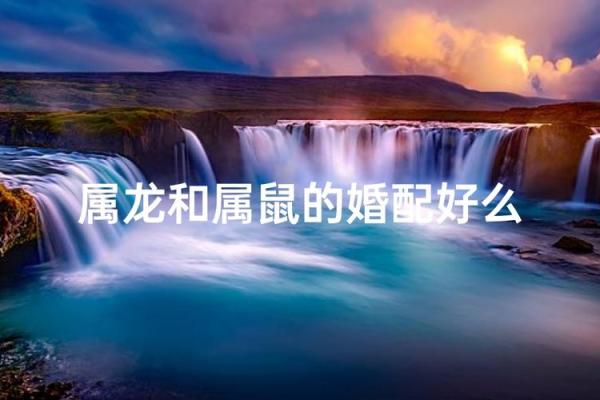 属鼠和属龙配对合适吗-